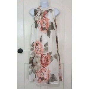 NWT Robbie Bee Women's Dress 12 Ivory Pink Floral Chiffon Sleeveless Feminine